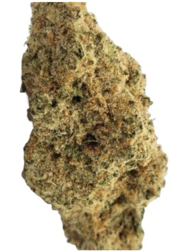 3.5g SHUCANNA-Gorilla Grape