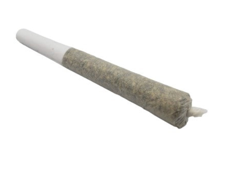 .5g SHUCANNA-Strawberry Guava PR 1x.5g