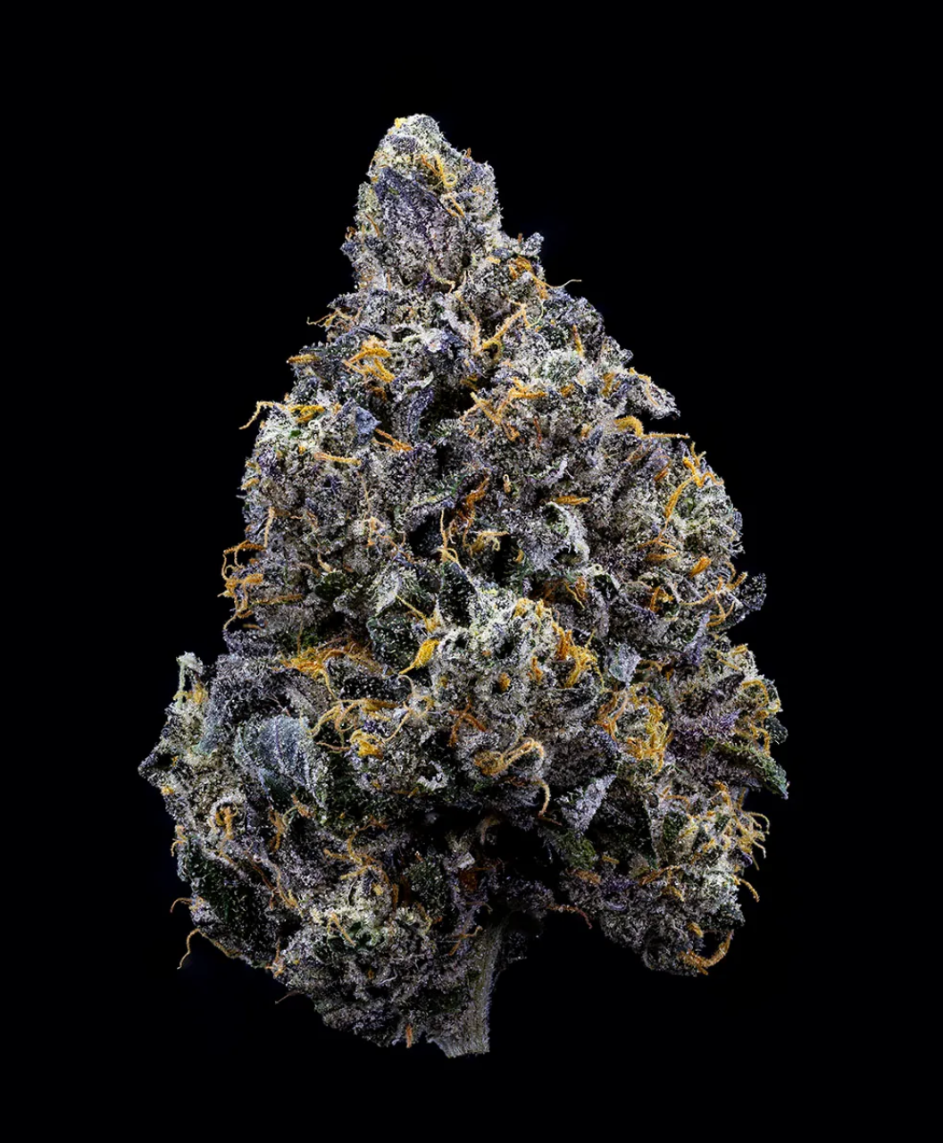 3.5g SWEETGRASS ORGANIC-Organic Sherbadelic