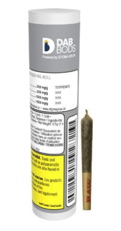 .5g DAB BODS-Ghost Train Haze Resin Infused PR 1x.5g