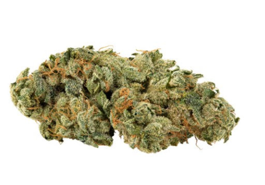 28g HOLY MOUNTAIN by BBOB-GMO Tropical Reign