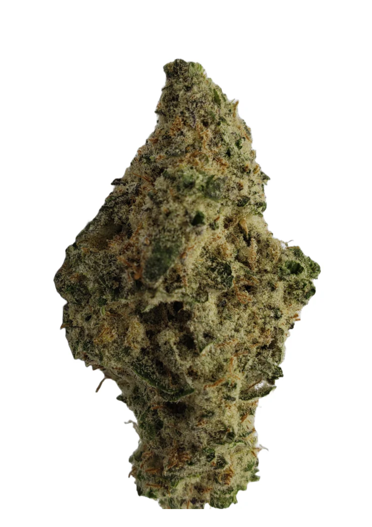 3.5g SHUCANNA-Kush (Triangle Kush/’88 G13 Hash Plant/OG Kush)