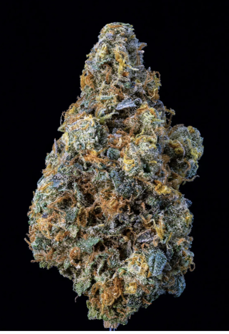 7g SWEETGRASS ORGANIC-Crushed Velvet