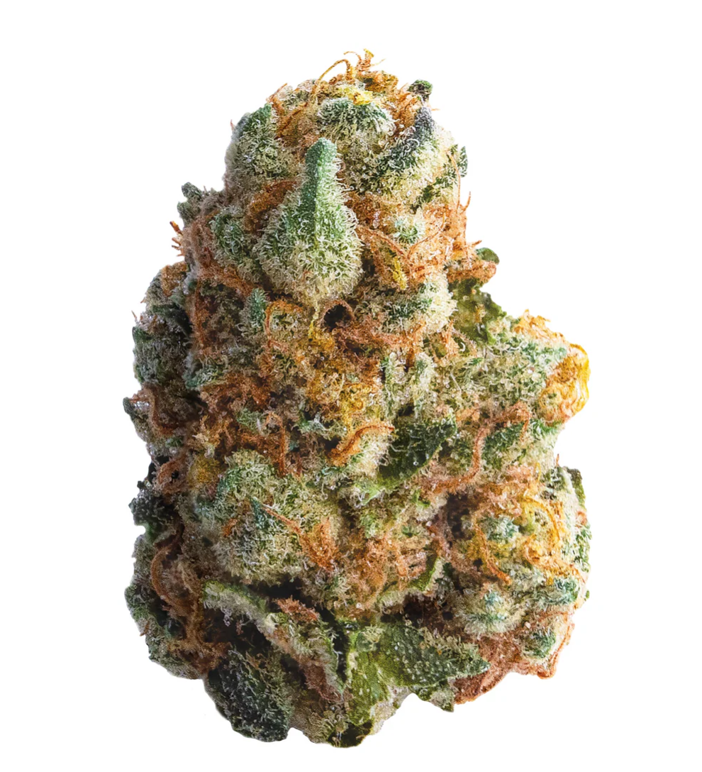 28g SPINACH-GMO Cookies (Girl Scout Cookies x Chemdawg)