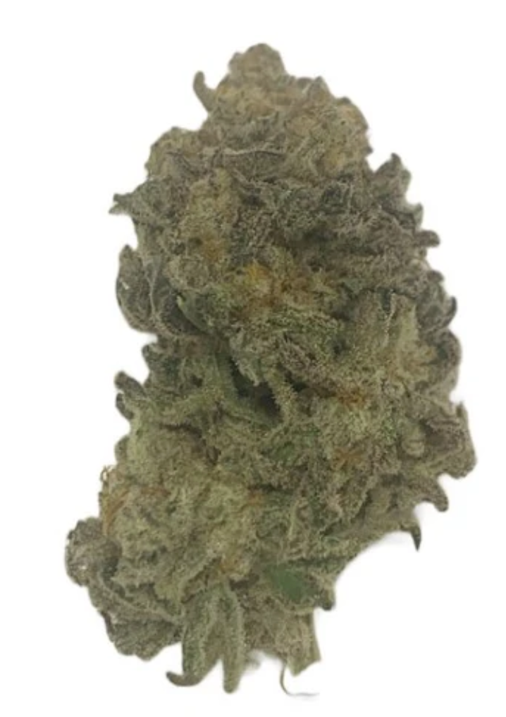 7g JUST KUSH-Mach 1 (Violator Kush x Amnesia Haze)
