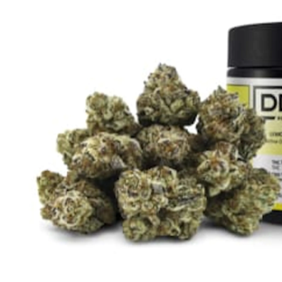 14g DEALR-Lemon Poppy Seed Cake LTO