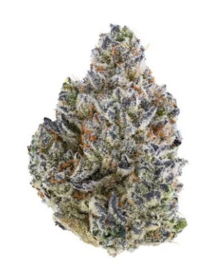 3.5g TRIBAL-Bubble Up