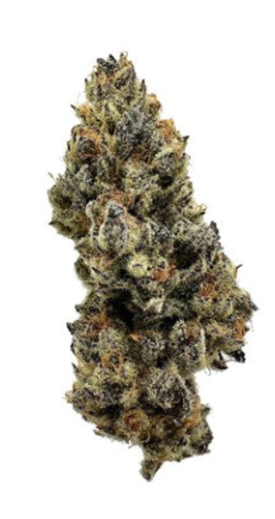 7g 3RD COAST GENETICS-Gold Cash Gold