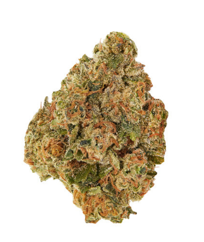 7g GOOD SUPPLY-Pumpkin Spice (Jean Guy x White Widow)