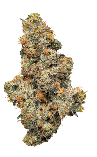 1.5g COAST MOUNTAIN-BC Organic Peanut Butter Souffle PR 3x.5g