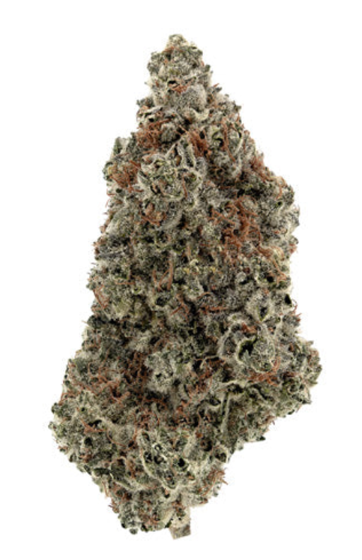 7g KOOTENAY CULTIVAR-Persy Stash | O.J. Zainbow
