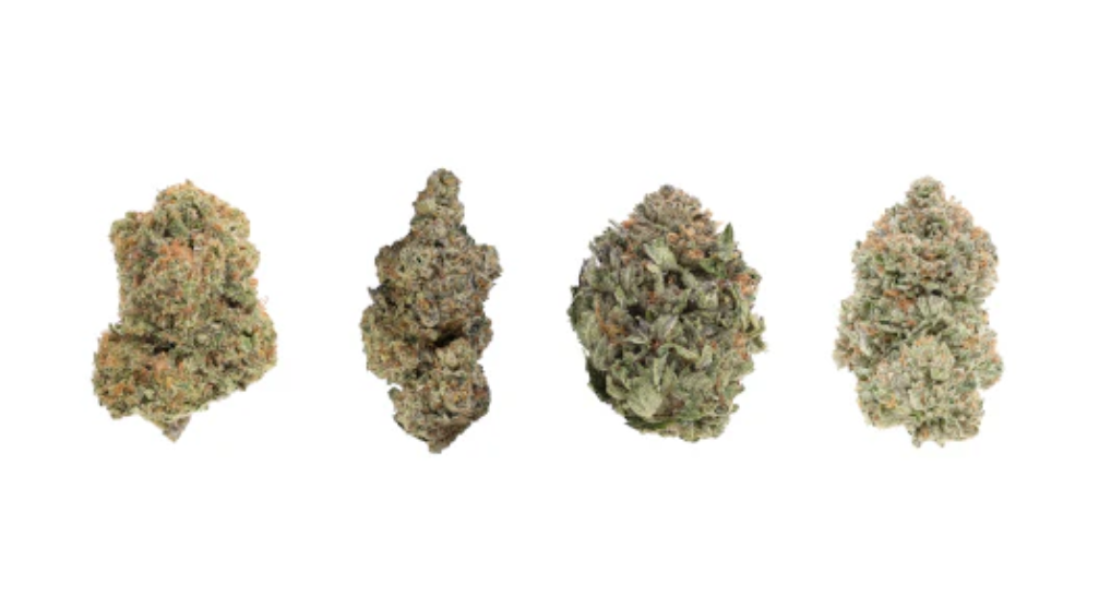 14g 1964-Mix N Match Variety Pack LTO