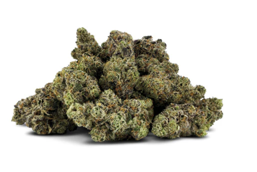 28g DEALR-All Gas No Brakes