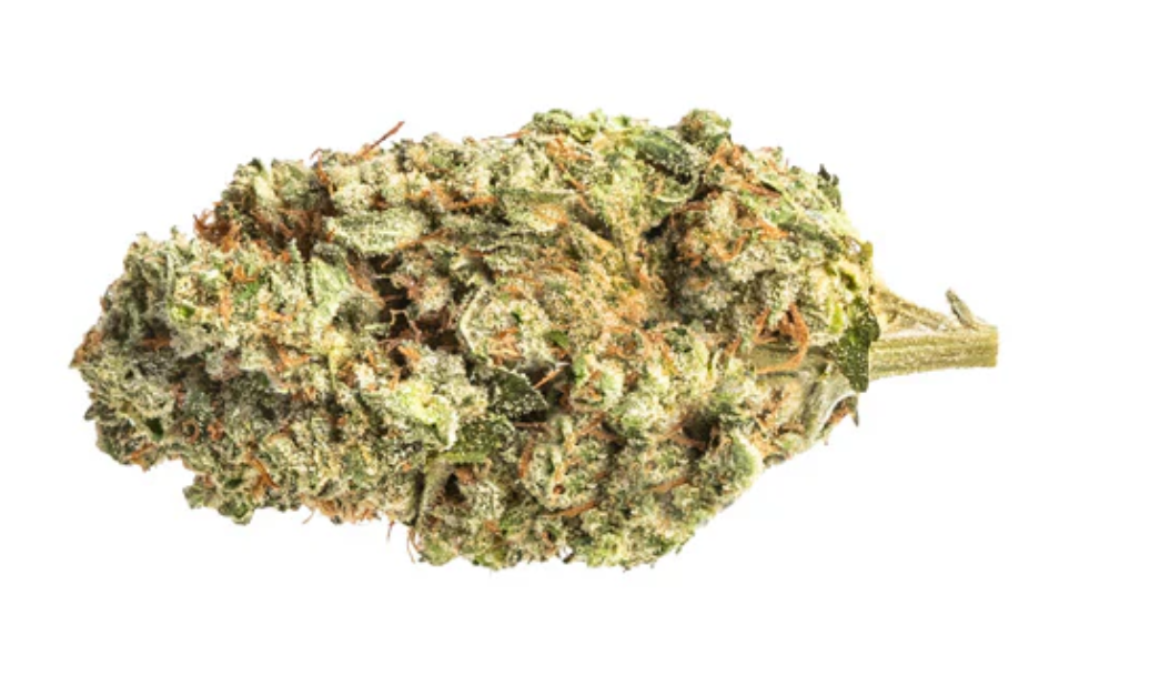 14g FRASER VALLEY WEED CO-Black Sherb