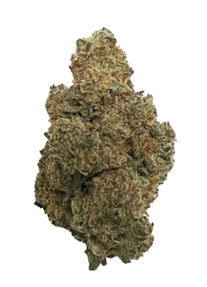 28g THE LOUD PLUG-LA Pop Star