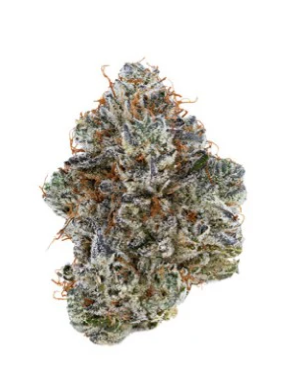 3.5g TRIBAL-Neon Sunshine