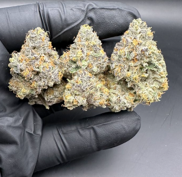 7g KOOTENAY CULTIVAR x WOODY NELSON-Tiramisu LTO (Ice Cream Cake)