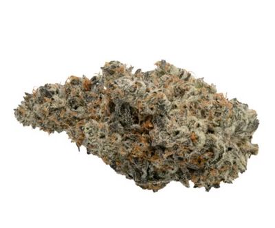 3.5g KOOTS CANNA x ANTIDOTE-KC Crush (Dante’s Inferno)