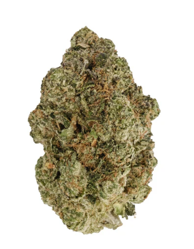 7g BACK40-Fire Breath