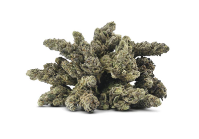 28g BC OZ-Glitter Bomb