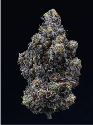 14g SWEETGRASS ORGANIC-Surreal Dreams Petites LTO