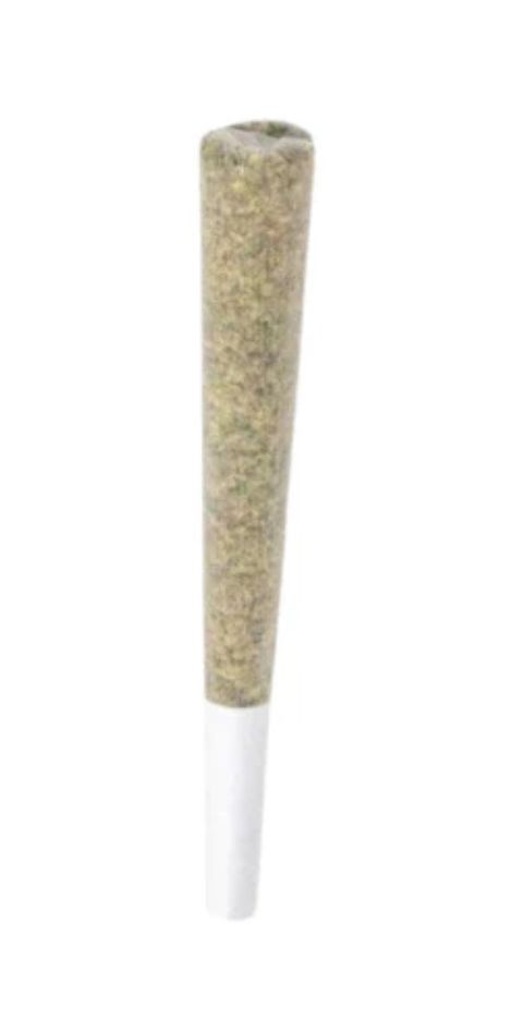 1g ALL DAY-Gastropop PR 1x1g