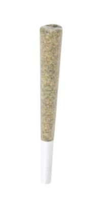 1g ALL DAY-Gastropop PR 1x1g