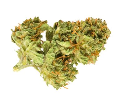 28g GOOD SUPPLY-Jean Guy SALE! $5 OFF!