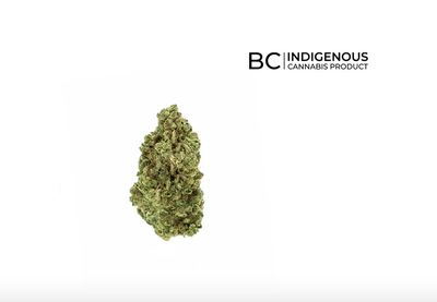 3.5g ROCKSTAR-All Nations