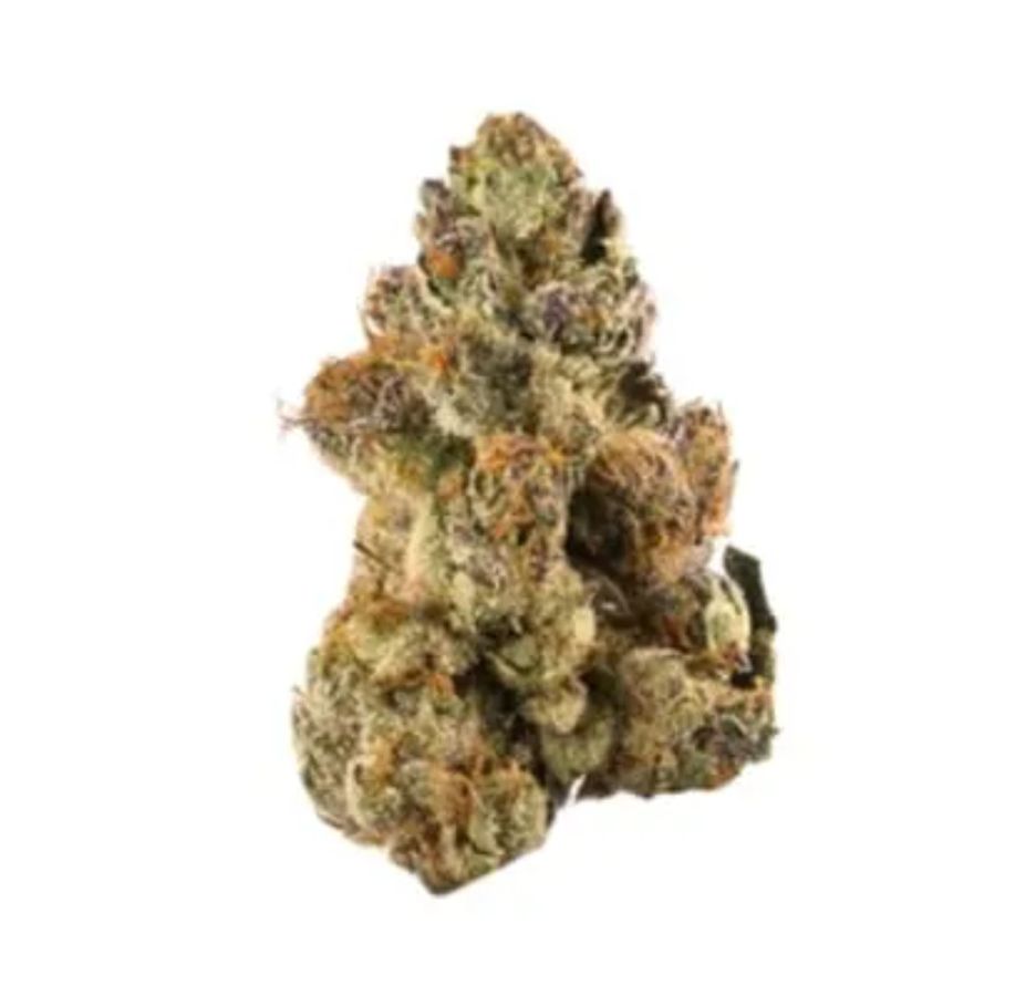 14g ROGWORLD-Bong Guru Rockstar