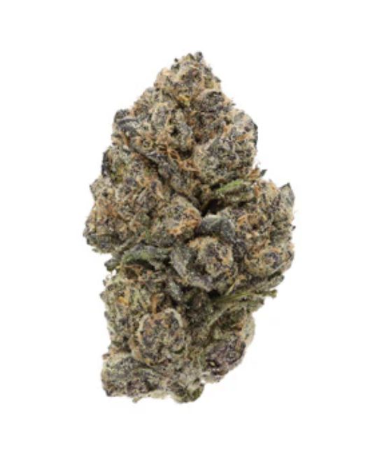 7g SITKA LEGENDS-Purple Octane
