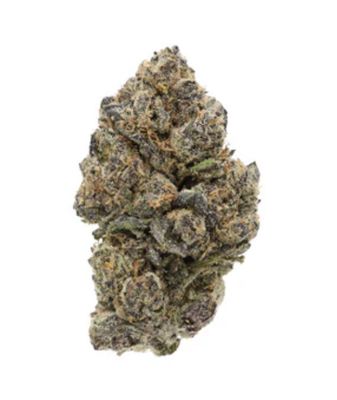 7g SITKA LEGENDS-Purple Octane