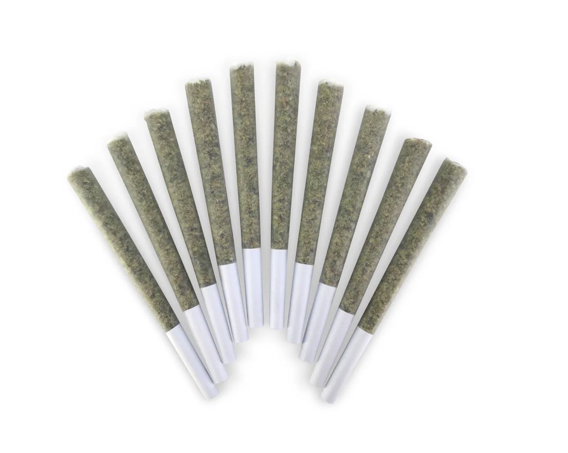 5g BC DOOBIES-Pier Pressure PR 10x.5g