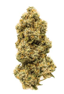7g CARMEL-Animal Face