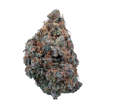 14g SWEETGRASS ORGANIC-Divine Intervention LTO