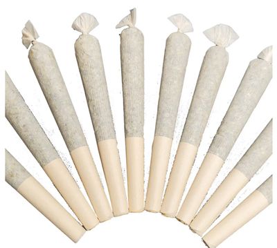 5g LEGACY LEGENDS-Variety Pack LTO PR 10x.5g
