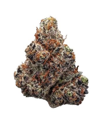 14g STATION HOUSE-Jack Herer