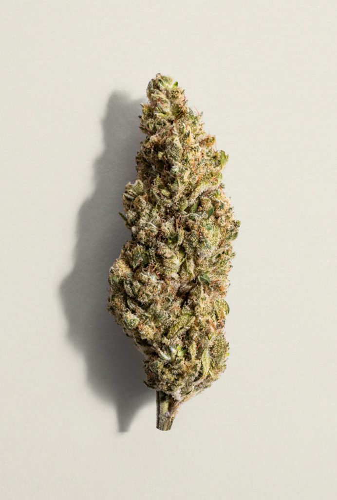28g PURE SUNFARMS-Blue Dream #16