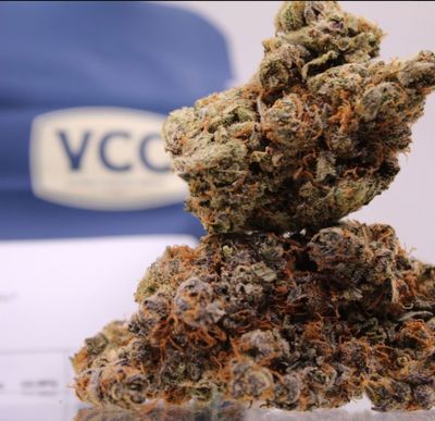 14g VICTORIA CANNABIS CO-Ukee LTO