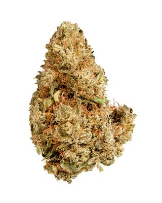 7g VERSUS-Purple Afghani