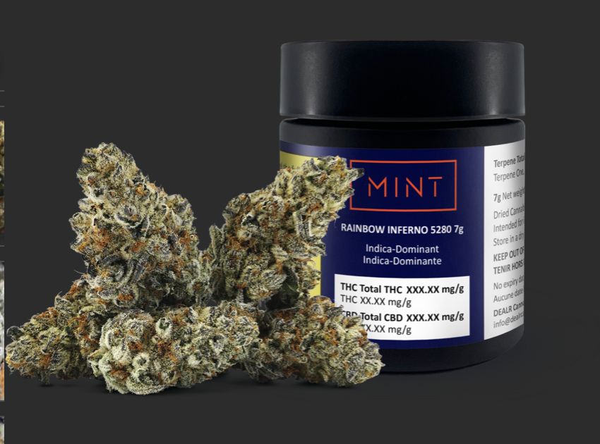 7g MINT CANNABIS-Rainbow Inferno