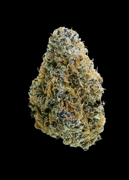 7g VALHALLA FLWR-Twisted Banana
