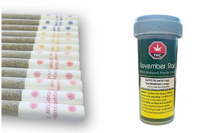 6g NOVEMBER RAIN-Blaster Multi-Pack (Mango, Strawberry, Pineapple, Blueberry) PR 12x.5g