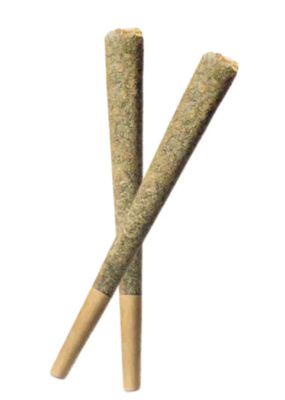 2g NOVEMBER RAIN-DreamCatcher Sativa PR 2x1g