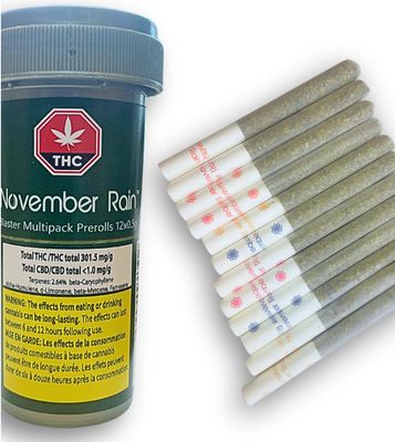 6g NOVEMBER RAIN-Blaster Multi-Pack (Mango, Strawberry, Pineapple, Blueberry) PR 12x.5g
