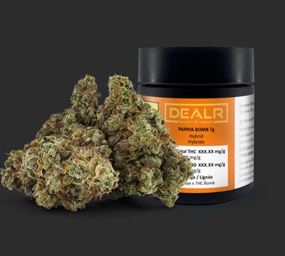 7g DEALR-Papaya Bomb