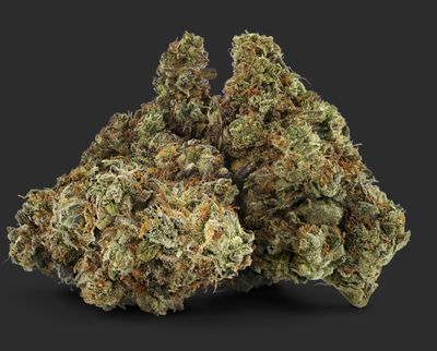 7g DEALR-Papaya Bomb