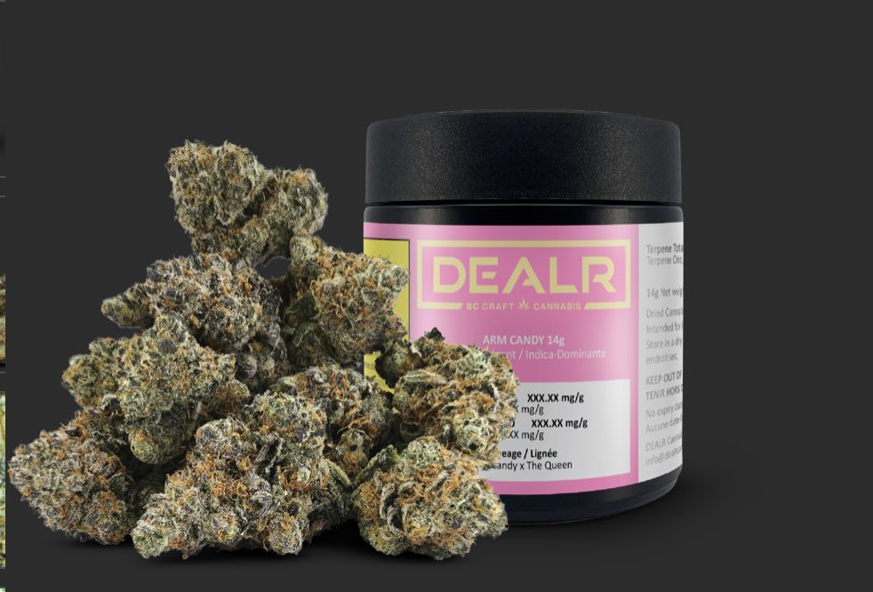 14g DEALR-Arm Candy