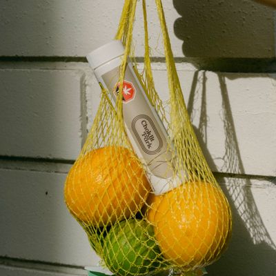 5g CHOKLIT PARK-Orange Glazed Haze PR 10x.5g