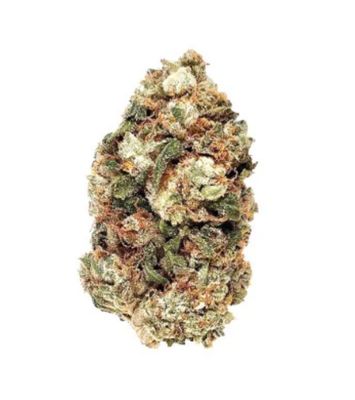 7g BC GREEN-Frosted Gumbo